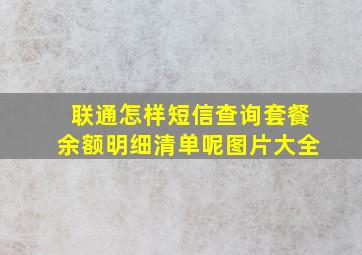 联通怎样短信查询套餐余额明细清单呢图片大全