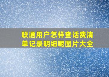 联通用户怎样查话费清单记录明细呢图片大全