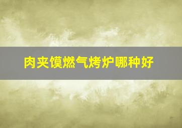 肉夹馍燃气烤炉哪种好