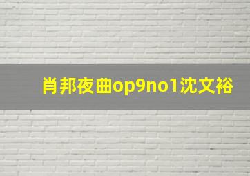 肖邦夜曲op9no1沈文裕