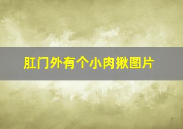 肛门外有个小肉揪图片