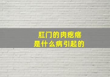 肛门的肉疙瘩是什么病引起的