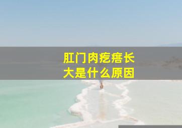 肛门肉疙瘩长大是什么原因