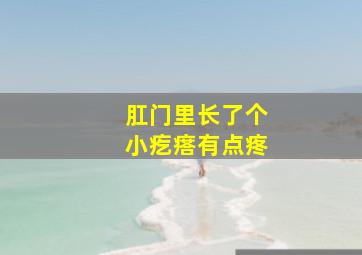 肛门里长了个小疙瘩有点疼