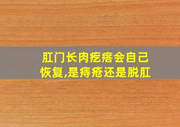 肛门长肉疙瘩会自己恢复,是痔疮还是脱肛