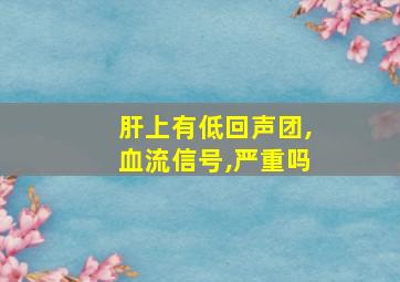 肝上有低回声团,血流信号,严重吗