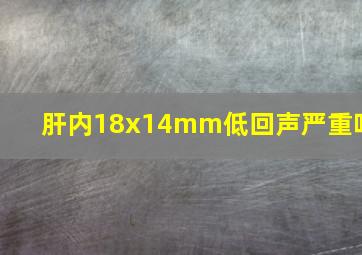 肝内18x14mm低回声严重吗