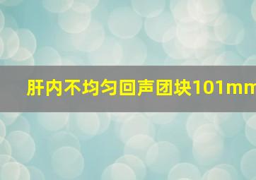 肝内不均匀回声团块101mm