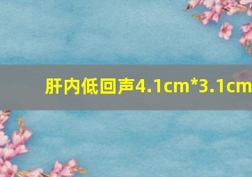 肝内低回声4.1cm*3.1cm