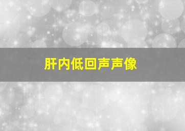 肝内低回声声像