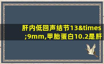 肝内低回声结节13×9mm,甲胎蛋白10.2是肝癌吗