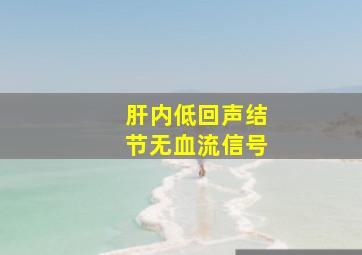 肝内低回声结节无血流信号