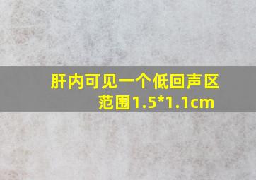 肝内可见一个低回声区范围1.5*1.1cm