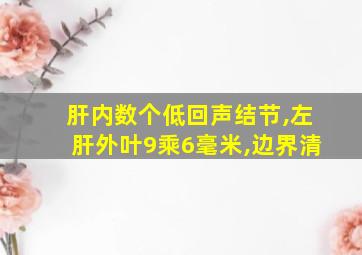 肝内数个低回声结节,左肝外叶9乘6毫米,边界清