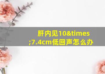 肝内见10×7.4cm低回声怎么办