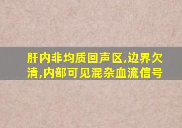 肝内非均质回声区,边界欠清,内部可见混杂血流信号