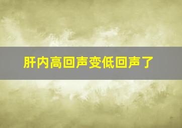 肝内高回声变低回声了