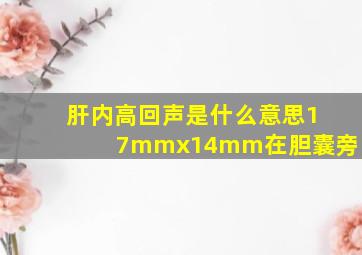 肝内高回声是什么意思17mmx14mm在胆囊旁