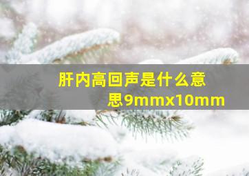 肝内高回声是什么意思9mmx10mm