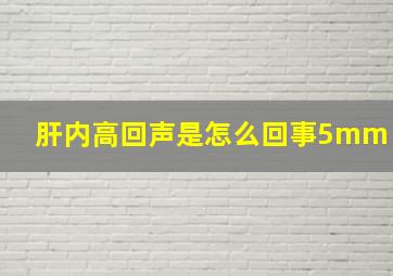 肝内高回声是怎么回事5mm