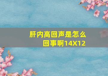 肝内高回声是怎么回事啊14X12