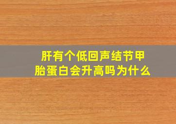 肝有个低回声结节甲胎蛋白会升高吗为什么