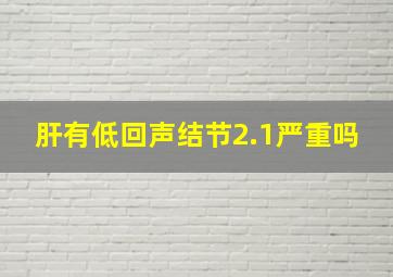 肝有低回声结节2.1严重吗