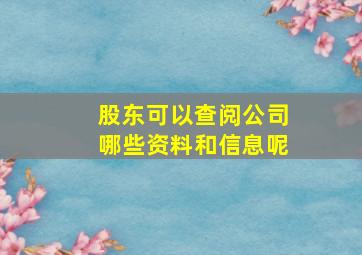 股东可以查阅公司哪些资料和信息呢