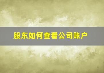 股东如何查看公司账户