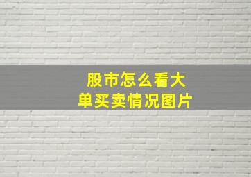 股市怎么看大单买卖情况图片