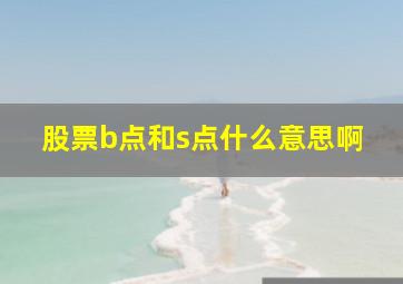 股票b点和s点什么意思啊