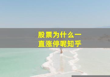 股票为什么一直涨停呢知乎