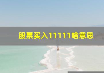 股票买入11111啥意思