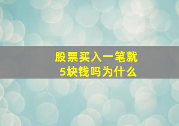 股票买入一笔就5块钱吗为什么