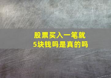 股票买入一笔就5块钱吗是真的吗