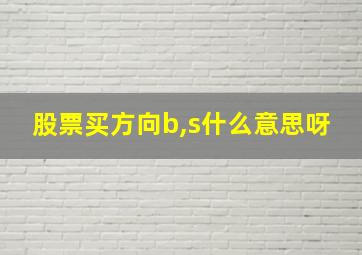 股票买方向b,s什么意思呀