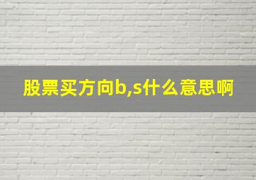 股票买方向b,s什么意思啊