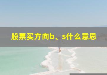 股票买方向b、s什么意思