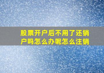 股票开户后不用了还销户吗怎么办呢怎么注销