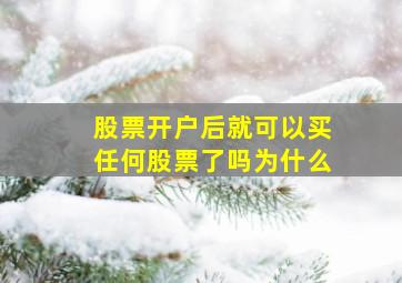 股票开户后就可以买任何股票了吗为什么