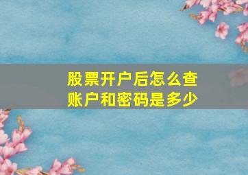 股票开户后怎么查账户和密码是多少