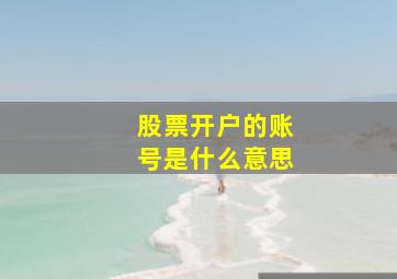 股票开户的账号是什么意思