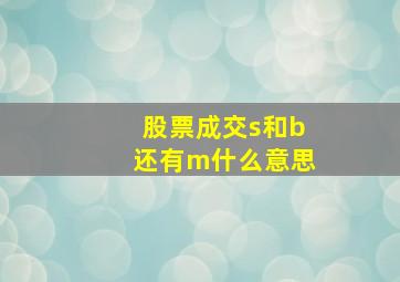 股票成交s和b还有m什么意思