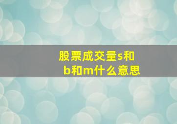 股票成交量s和b和m什么意思