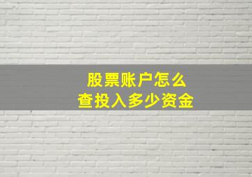 股票账户怎么查投入多少资金