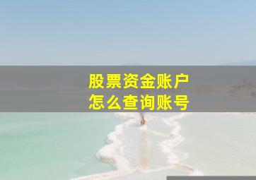 股票资金账户怎么查询账号