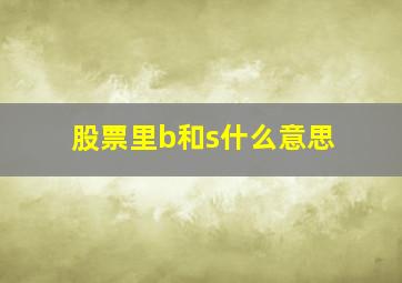 股票里b和s什么意思