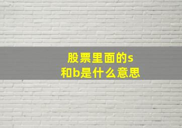 股票里面的s和b是什么意思