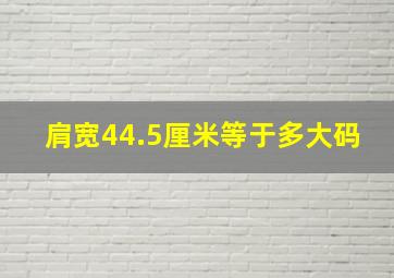 肩宽44.5厘米等于多大码