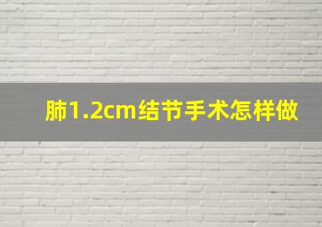 肺1.2cm结节手术怎样做